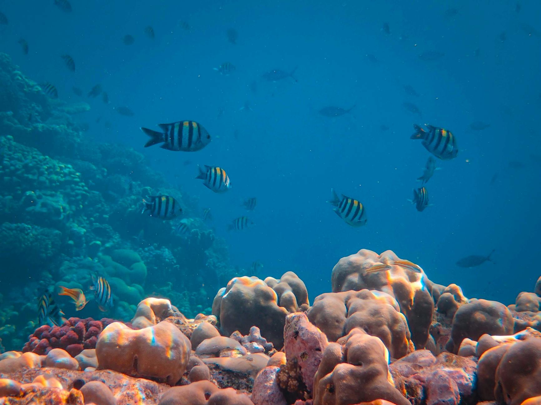 Inside the Sergeant Major Academy