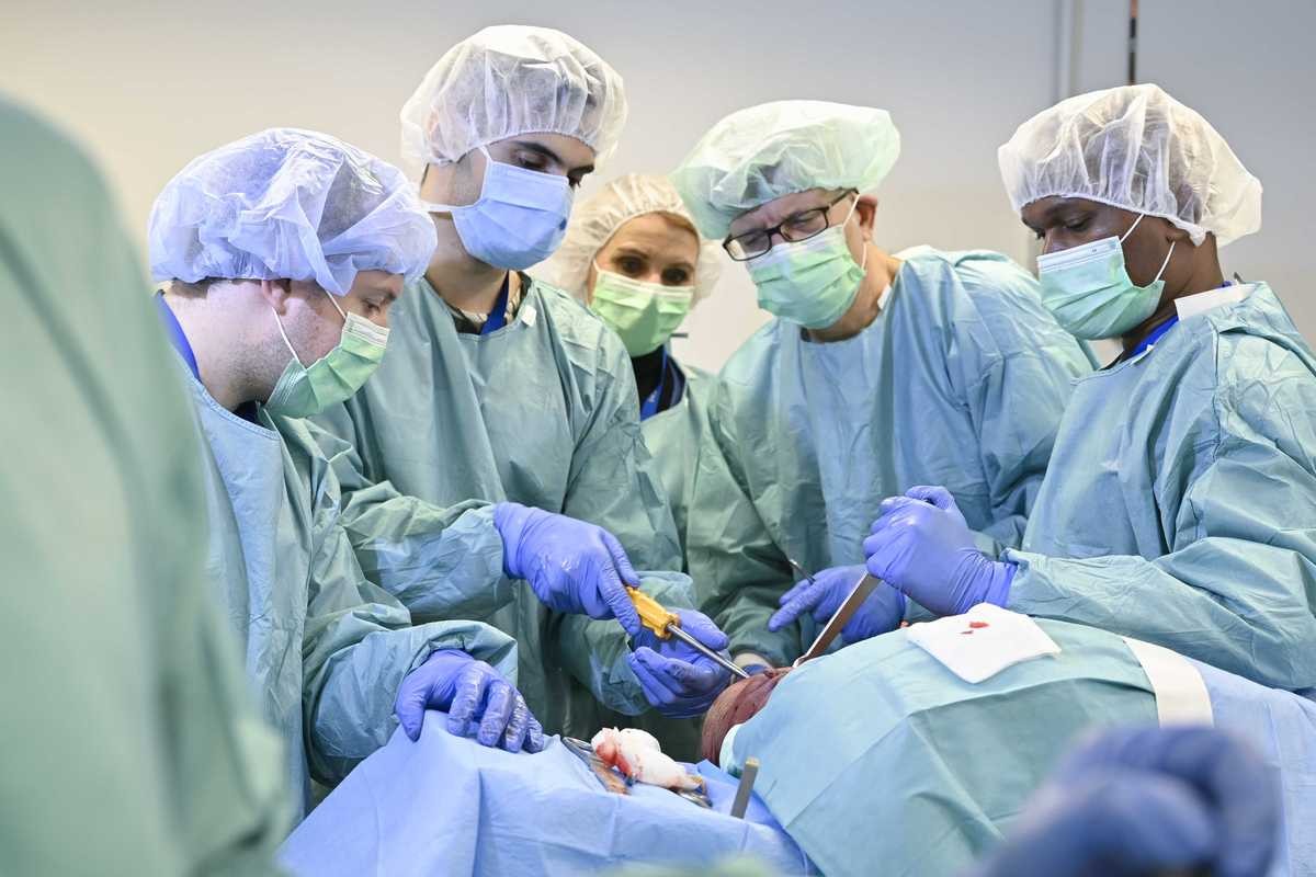 AO Surgeons 