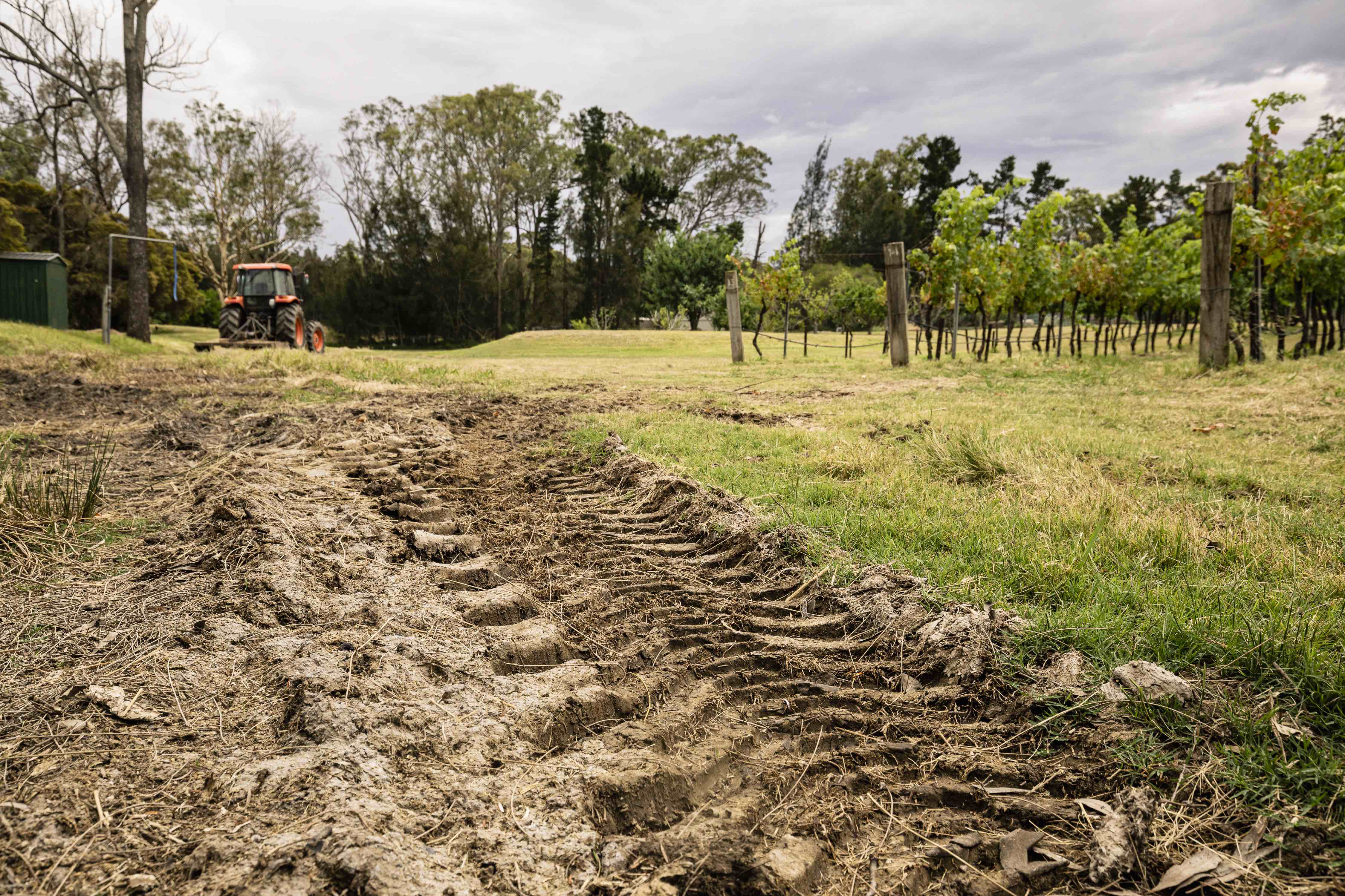 Omnis Ratione Animi Quia