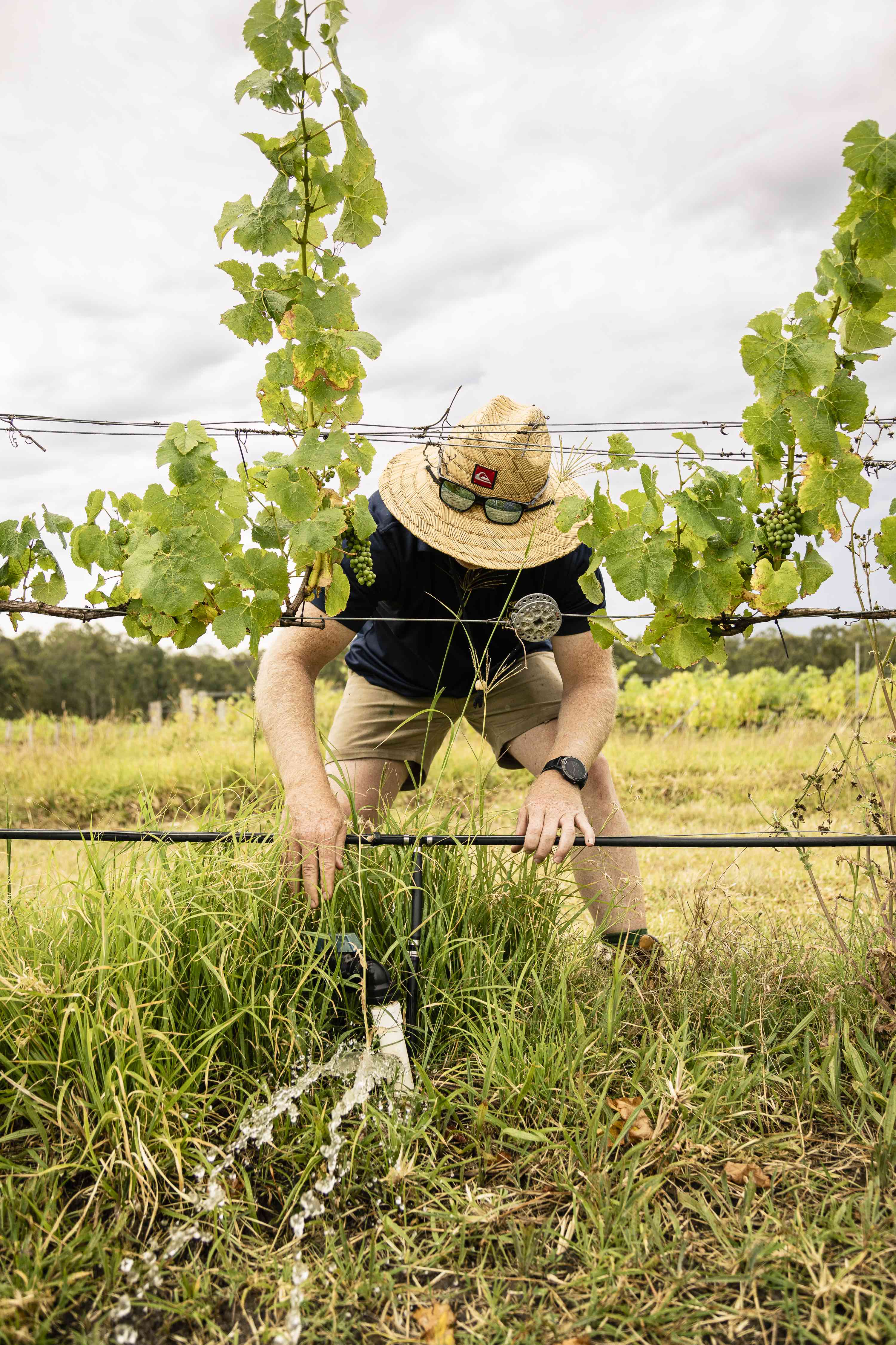 Porro Reprehenderit Perferendis