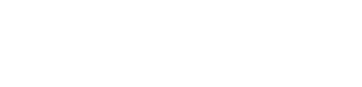 findomestic brand logo