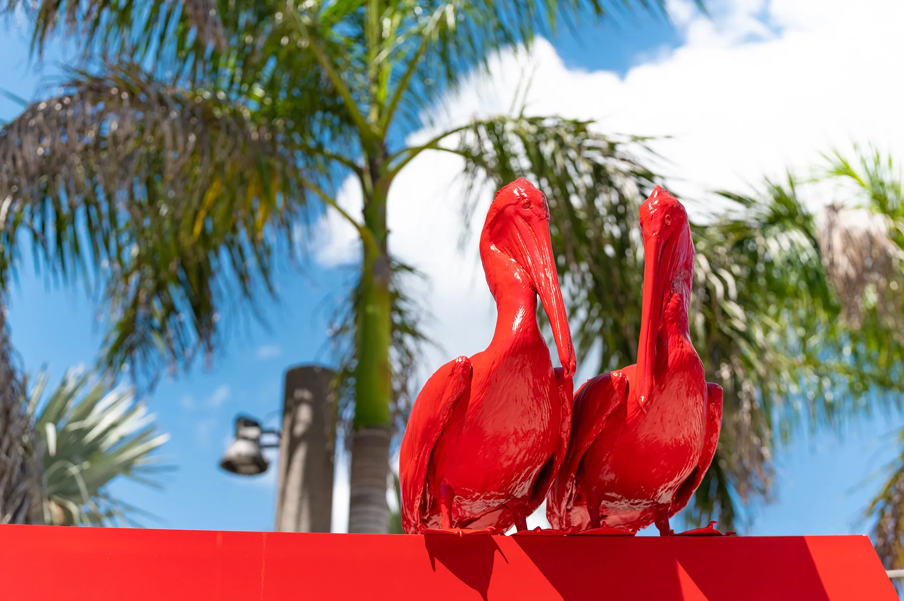 Moving to St. Petersburg, FL? Why Out-of-State Buyers Are Falling in Love With the Sunshine City