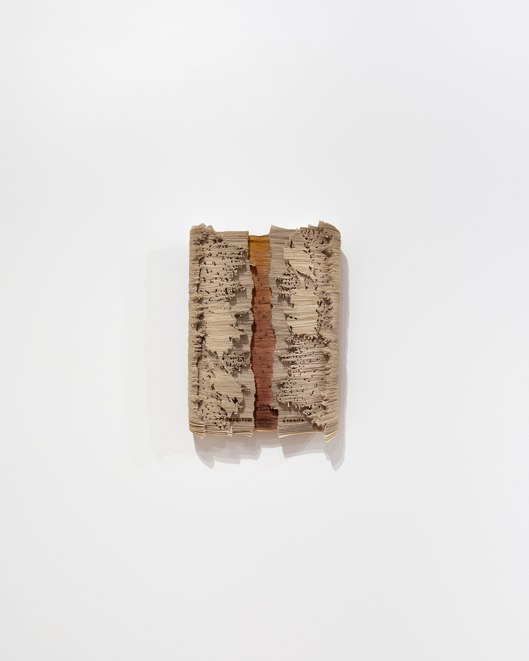 Spectres par concomitance