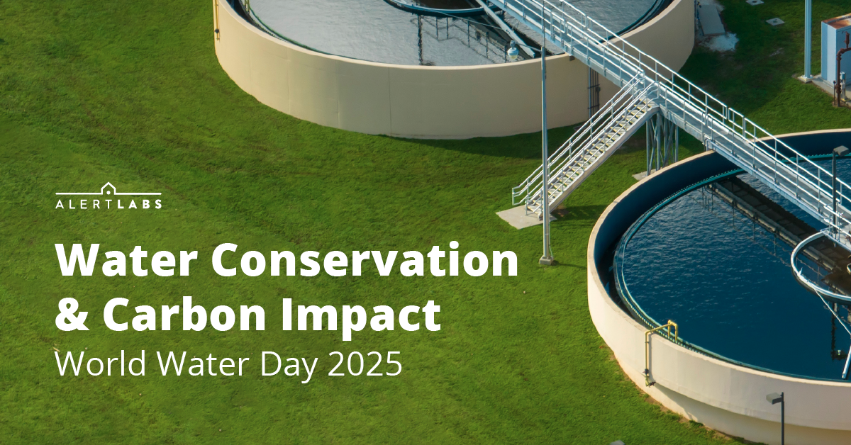 Water Conservation and Carbon Impact World Water Day 2025