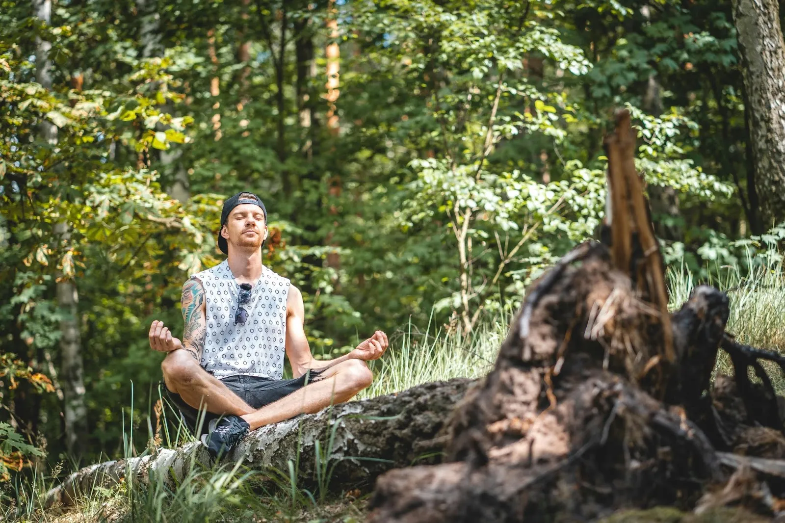 A man meditates on a fallen log, surrounded by trees.