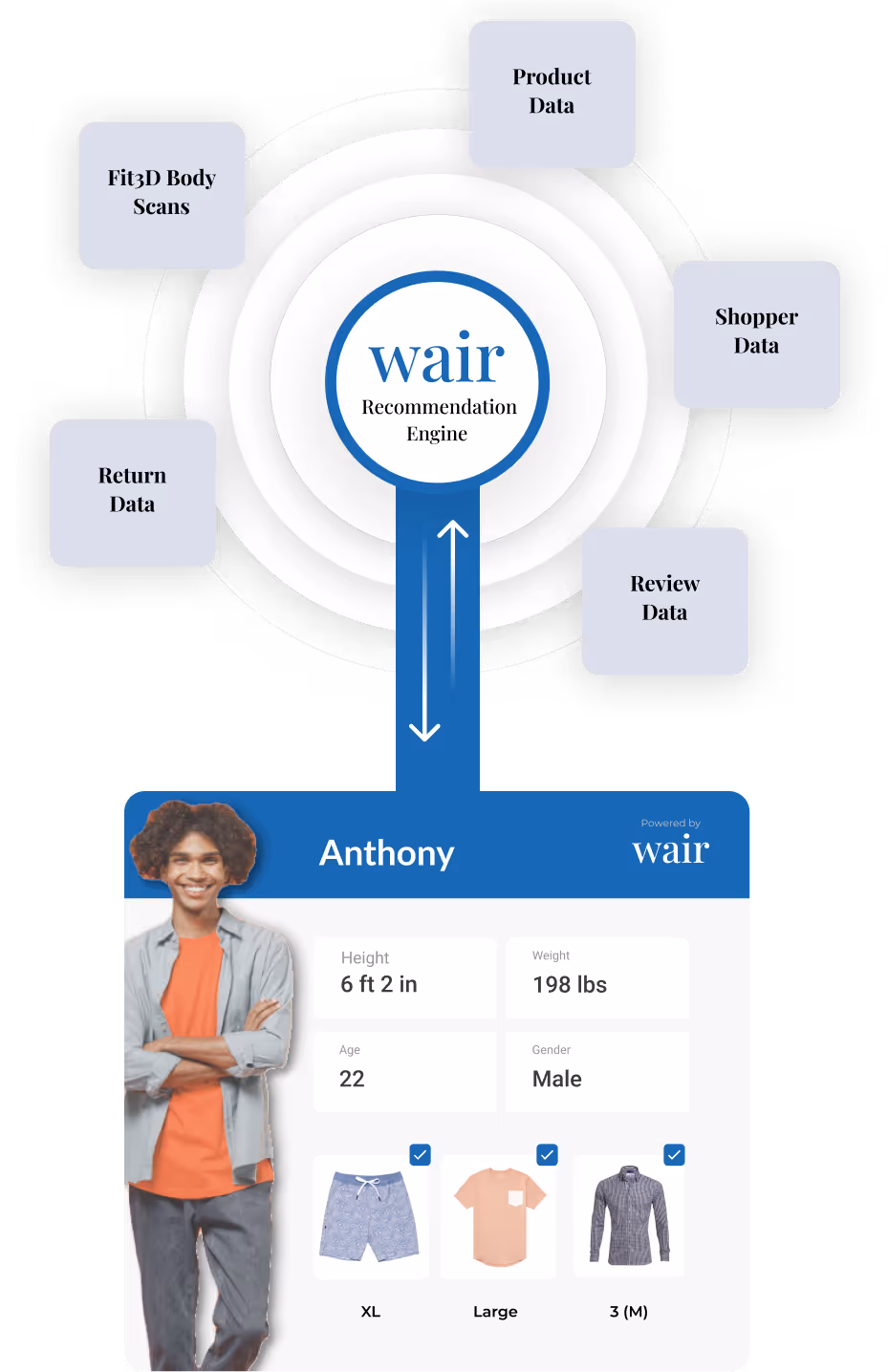 WAIR's sizing algorithm visualized