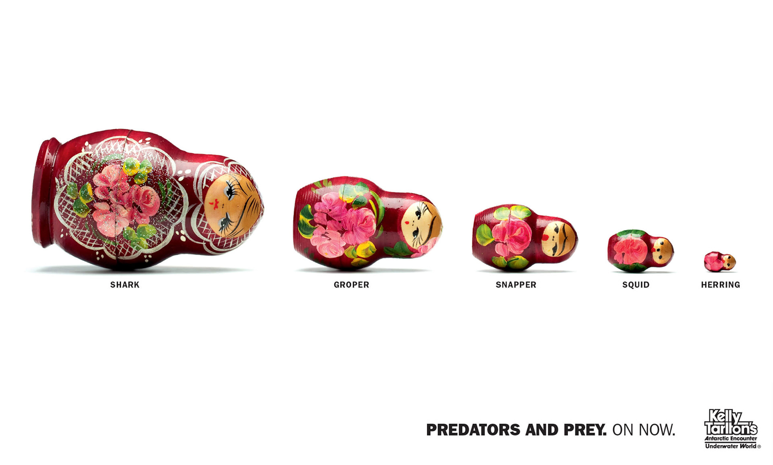 Kelly Tarltons Predators and Prey advertisement design