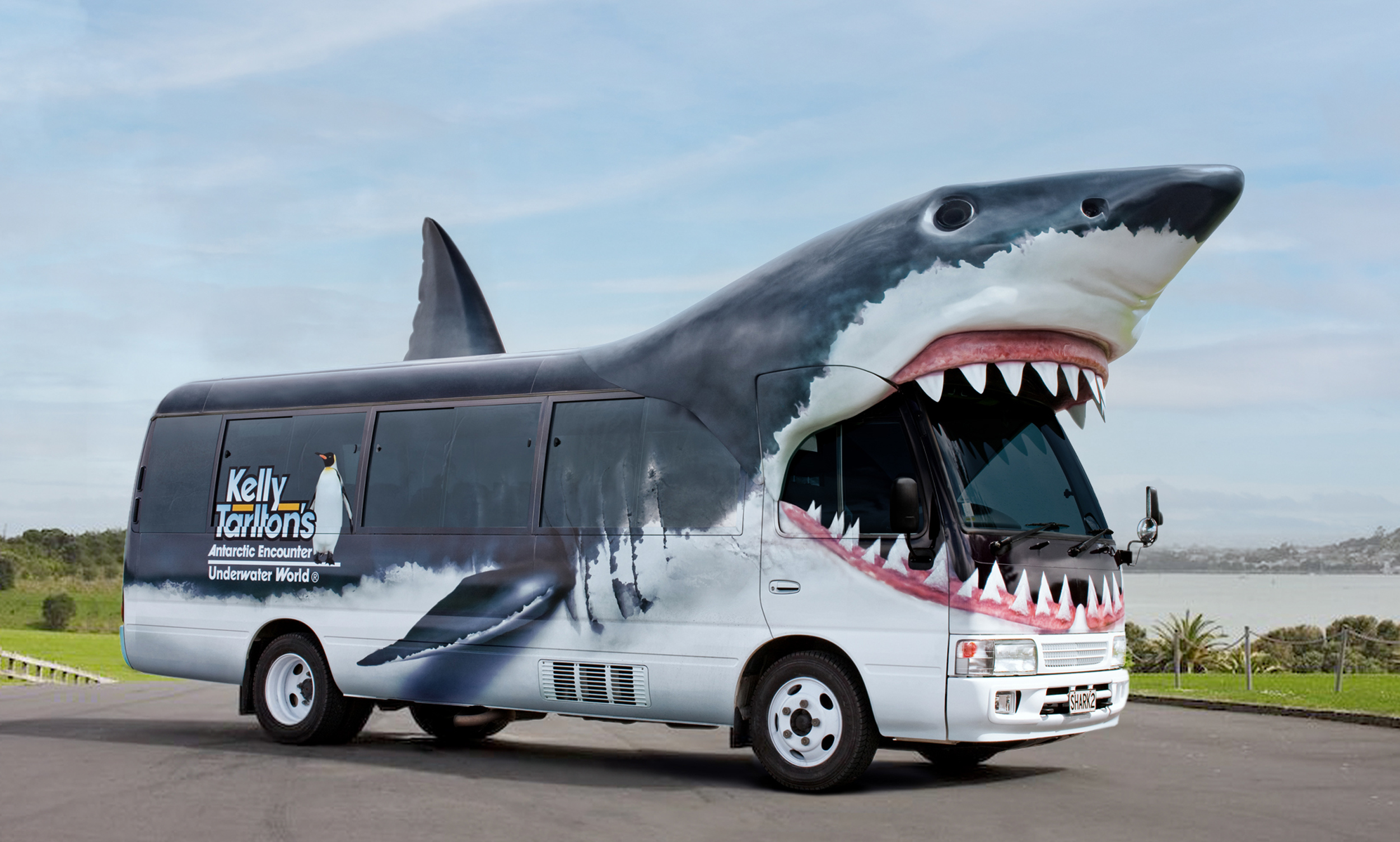 Kelly Tarltons shark shaped bus design showcase