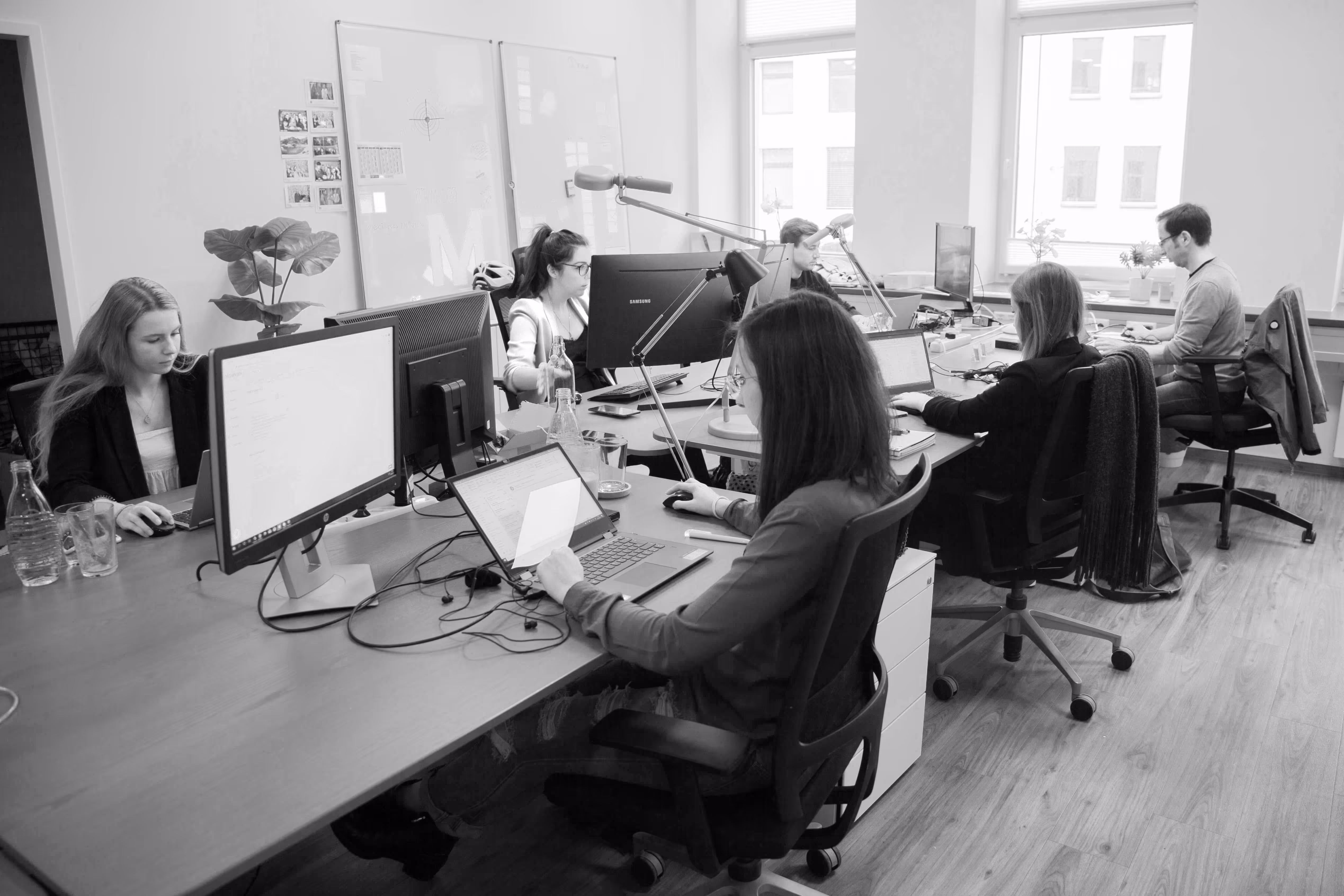 MCANISM Team at work