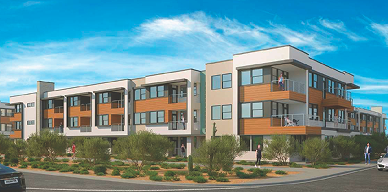 A cluster of tall palm trees in front of multi-story buildings with brick and glass facades.