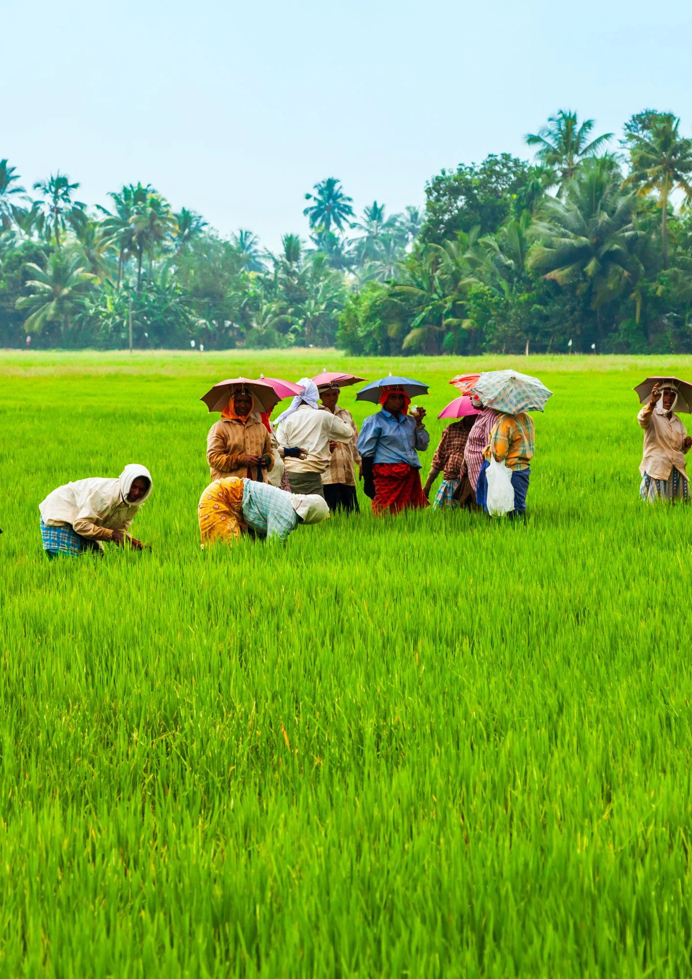 Gérer pour un impact durable 