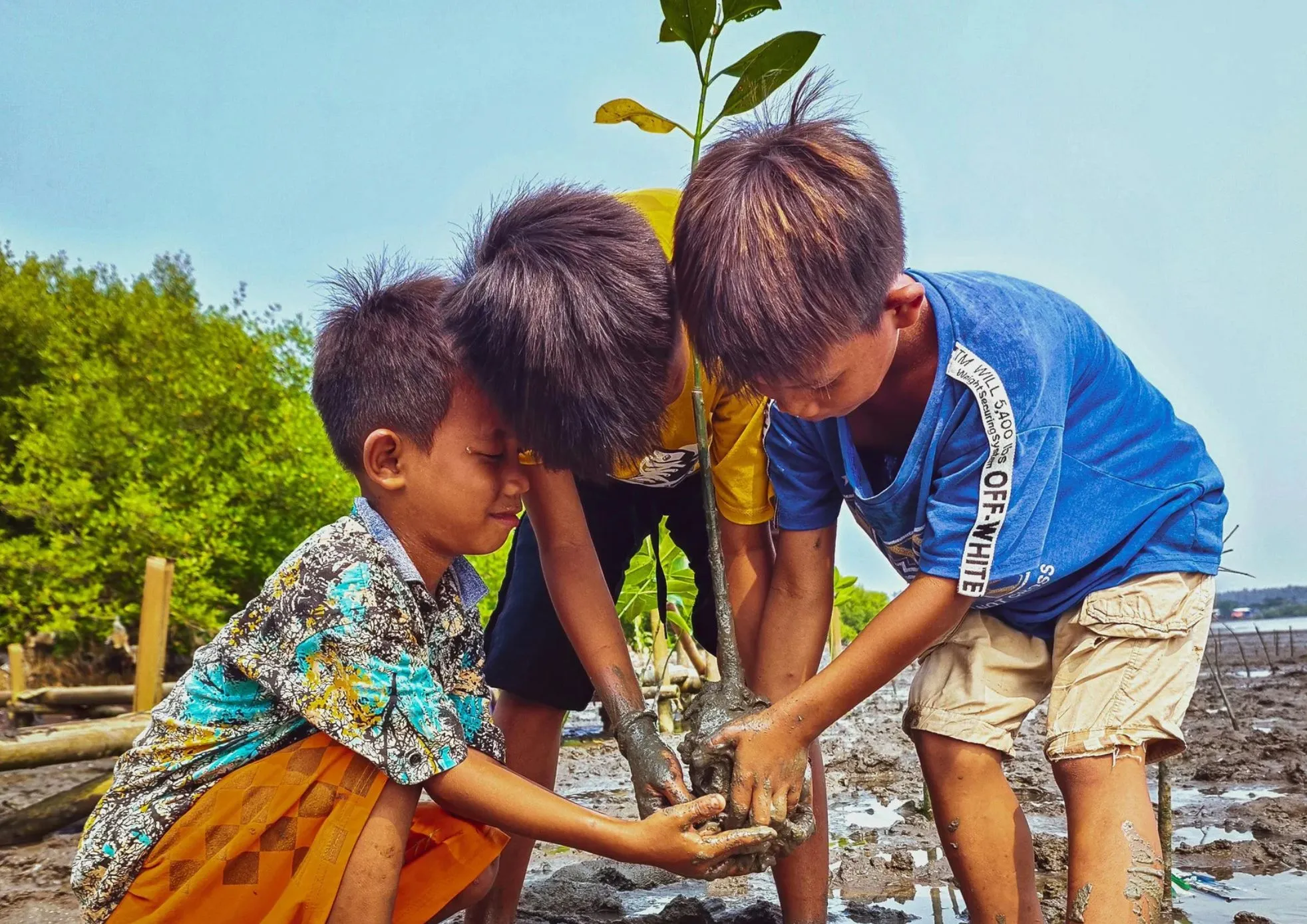 Children Planting Mangroves in Indonesia. Credit: Arie Rachmat /Canva