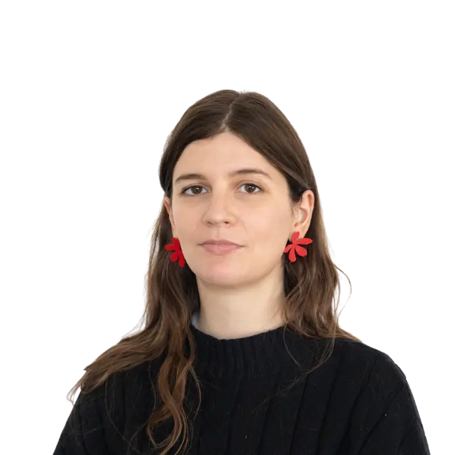 Team member in VAIRIX