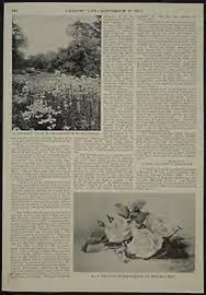 Fighter Jet Taking Off From Aircraft Carrier