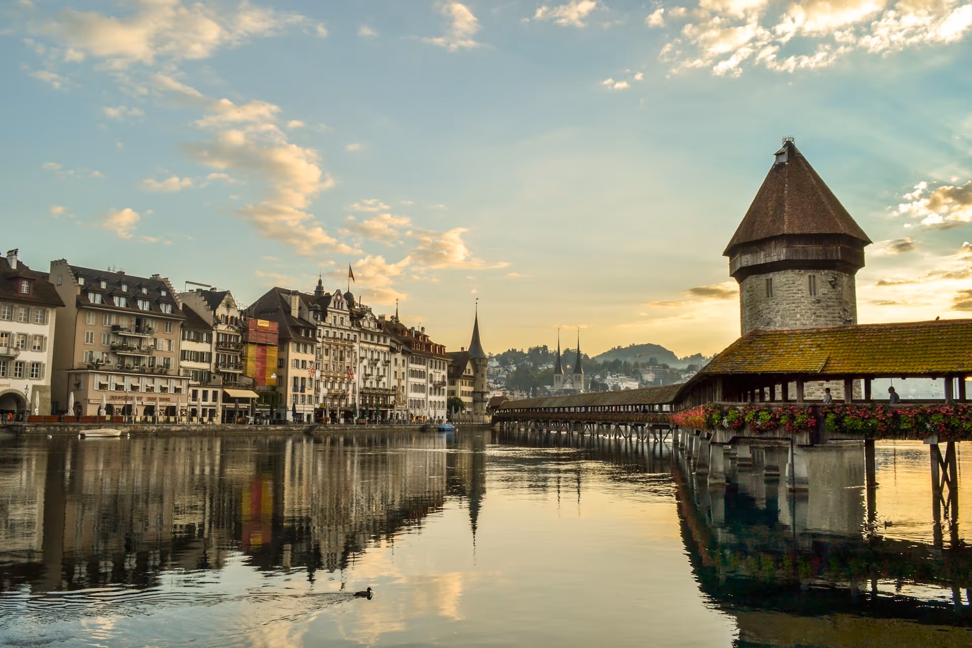 Développeur Webflow à Lucerne - Sites modernes pour entreprises suisses