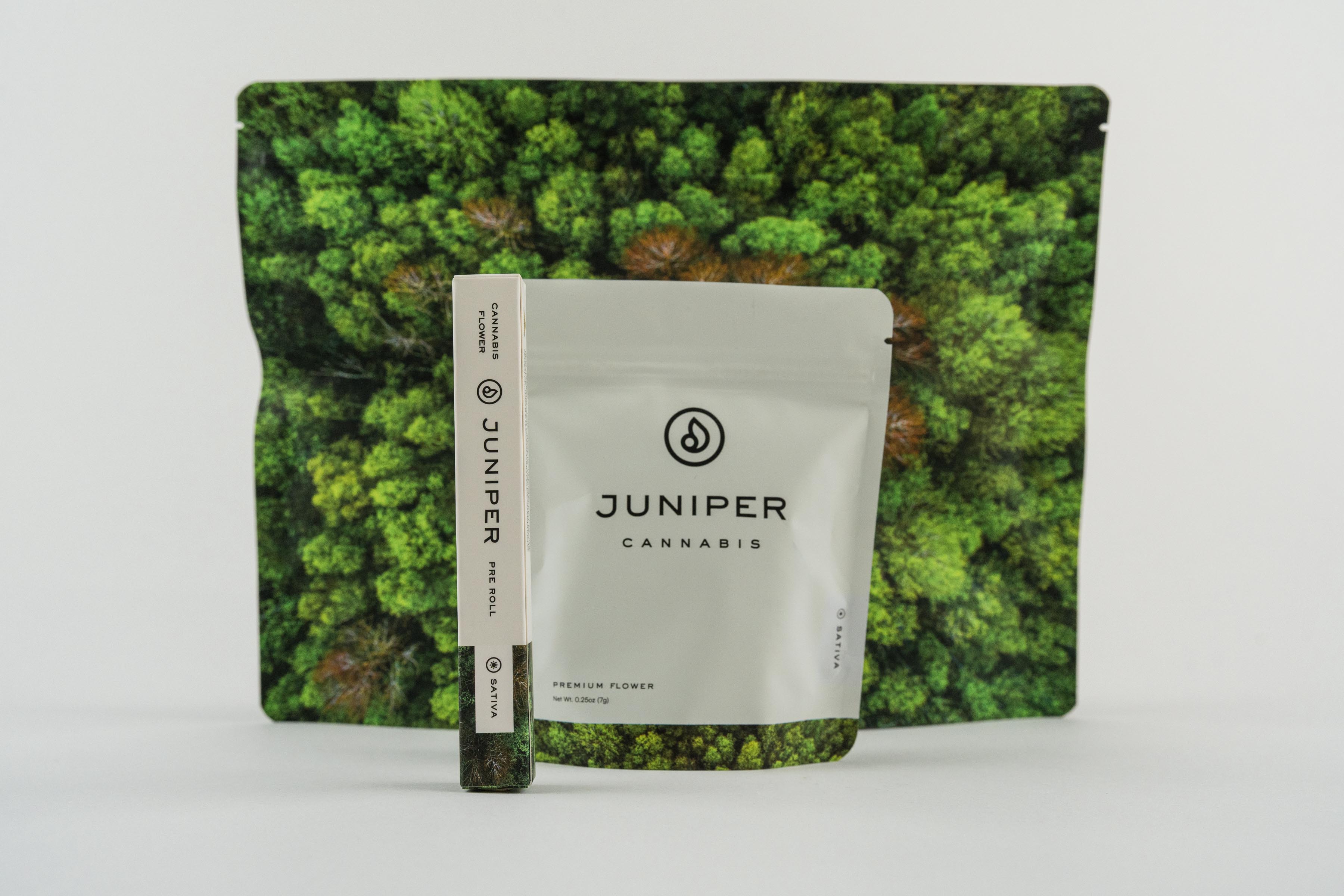 High Road | Slumber Blueberry 1:1 CBN Gummies | Juniper Cannabis