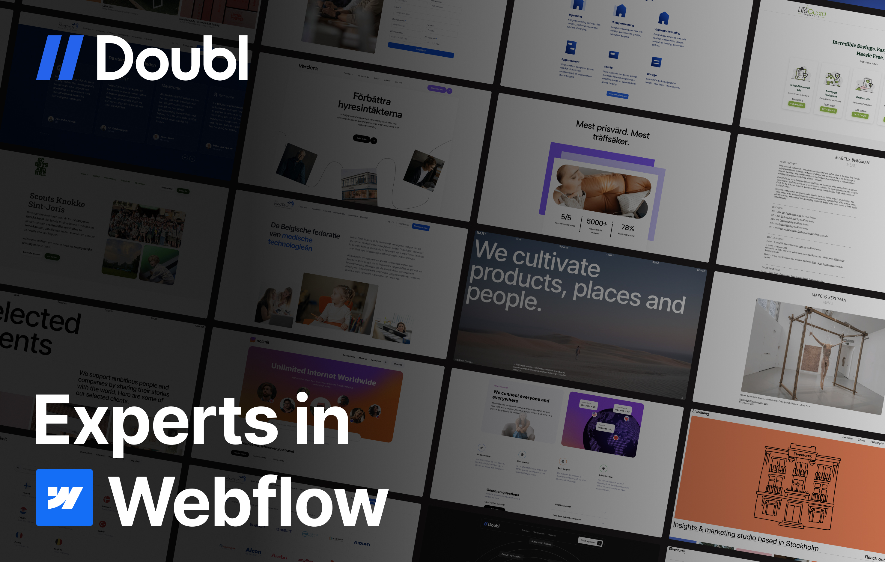 Doubl - Experts in Webflow cover image