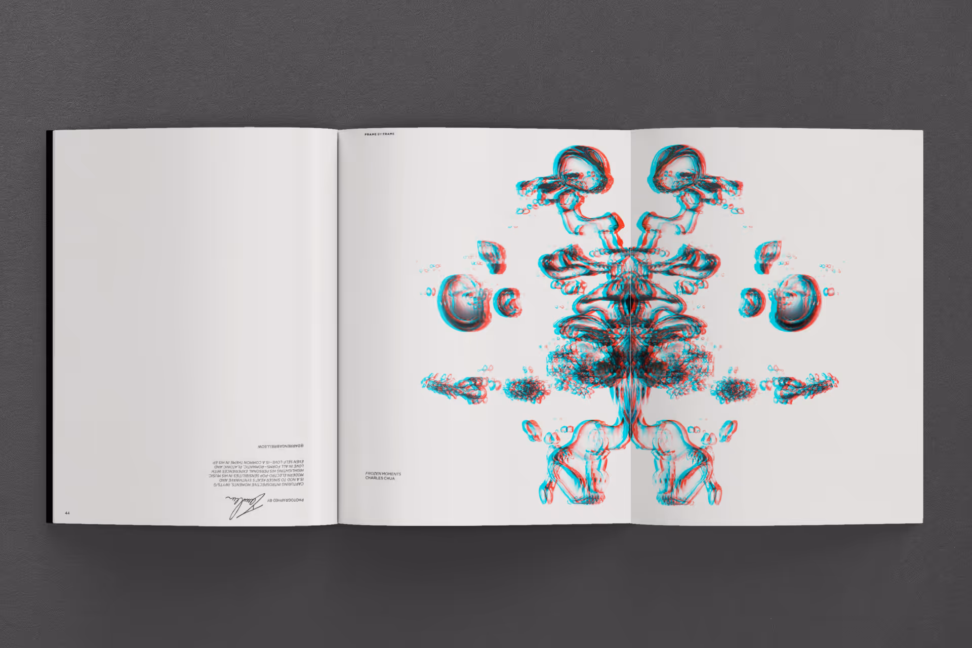 Open book showing an abstract symmetrical inkblot with red and blue 3D effect on right page and text on left.