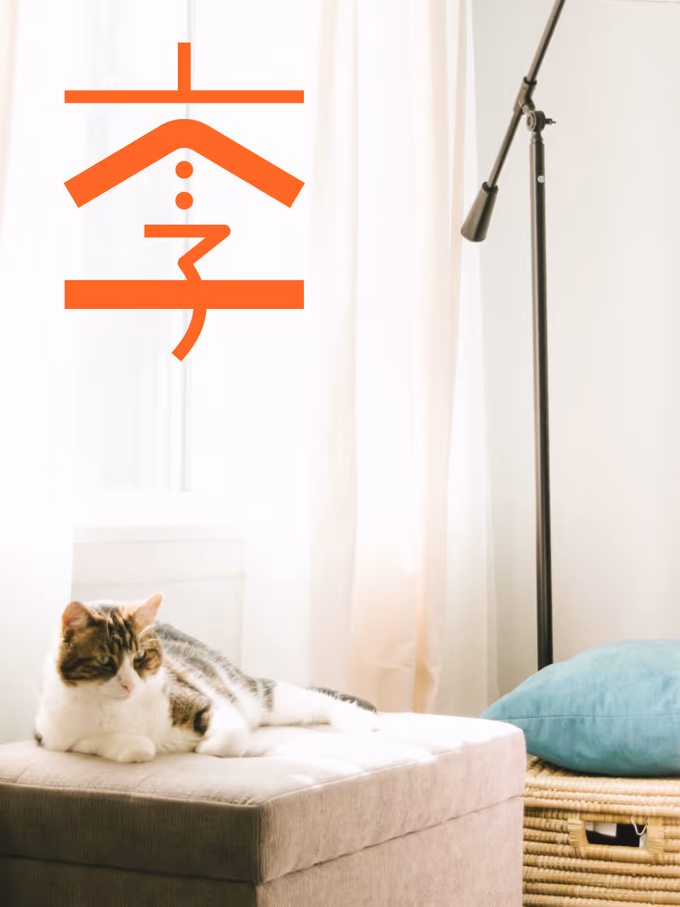 Tabby and white cat lying on a beige ottoman near a window with sheer curtains and a floor lamp.