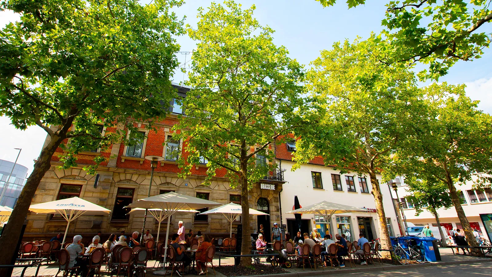 Outdoor café seating under large green trees with people dining and chatting in front of a brick and white building on a sunny day.