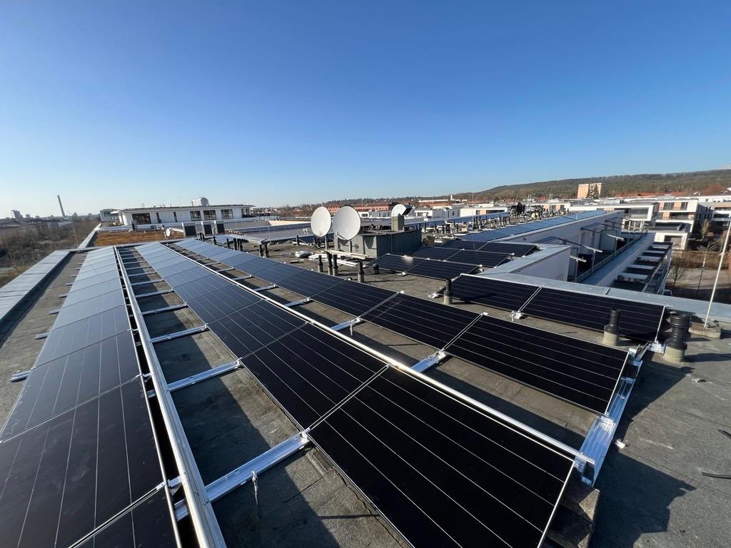 Rows of solar panels installed on a flat rooftop under a clear blue sky with buildings in the background.