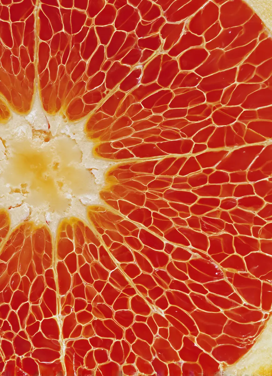 segmenting customer feedback