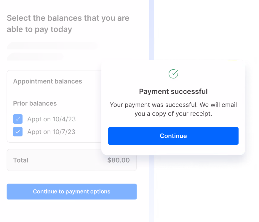 Payment success message confirming receipt email, with a form showing selected appointment balances totaling $80.