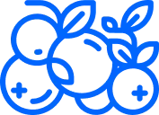 icon blueberry by SA Family from <a href="https://thenounproject.com/browse/icons/term/blueberry/" target="_blank" title="blueberry Icons">Noun Project</a>