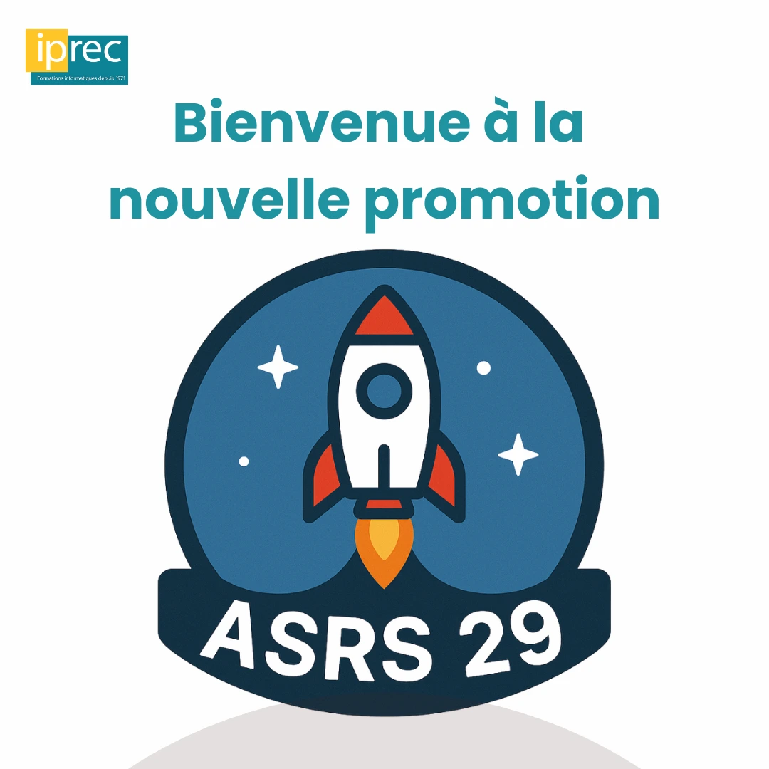 ASRS 29