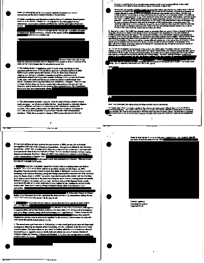 Example of document redaction