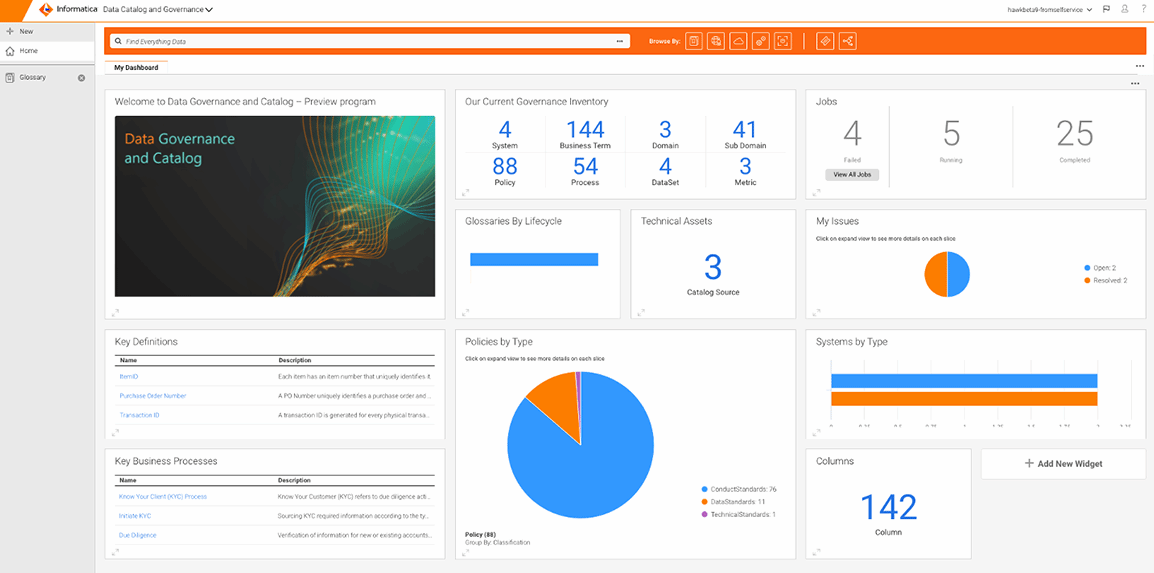 Informatica Cloud Data Governance interface