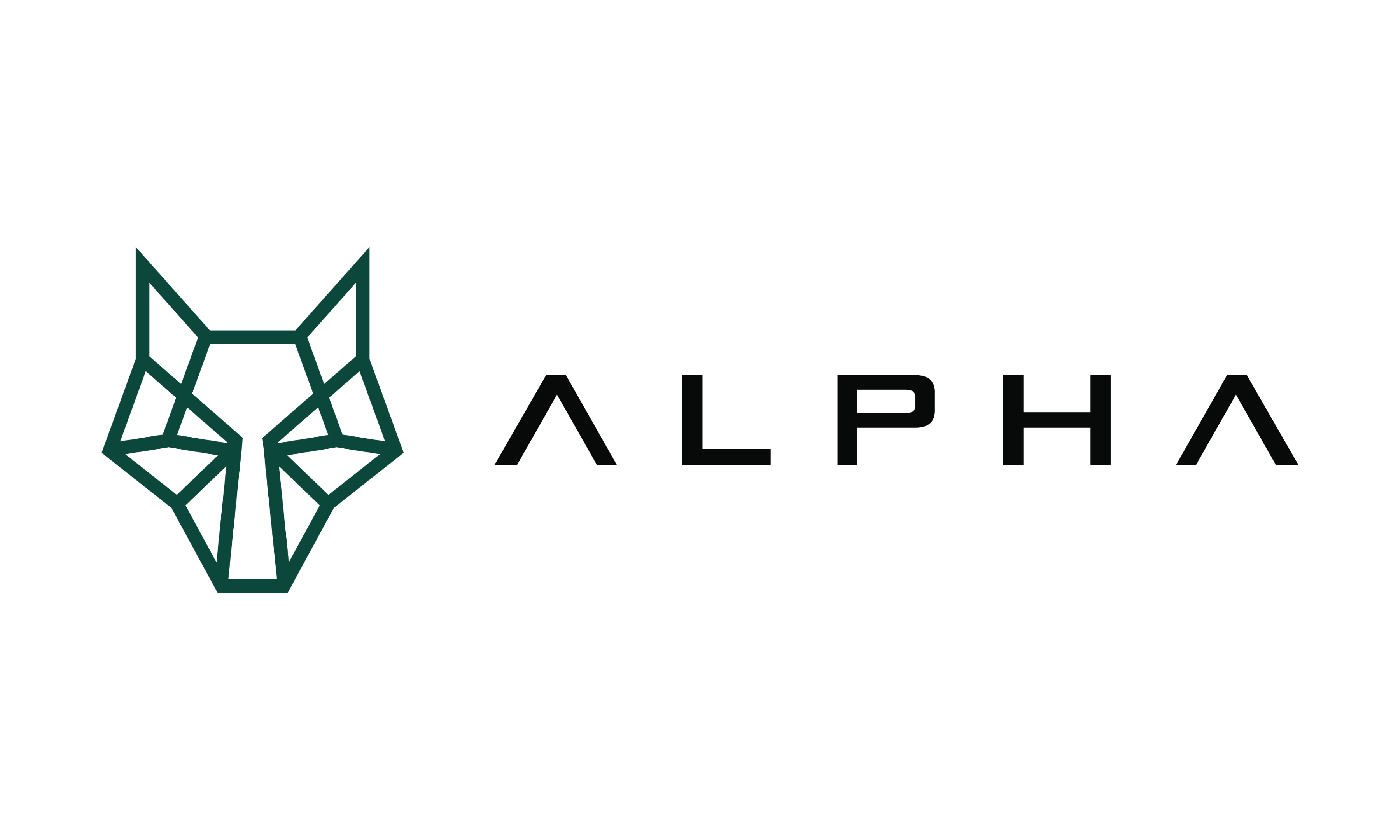 Logo Alpha Insure