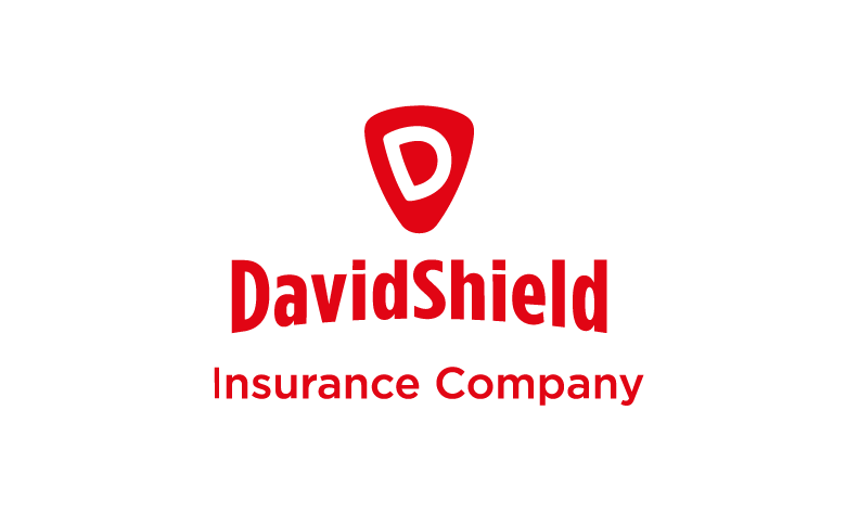 Logo DavidShield