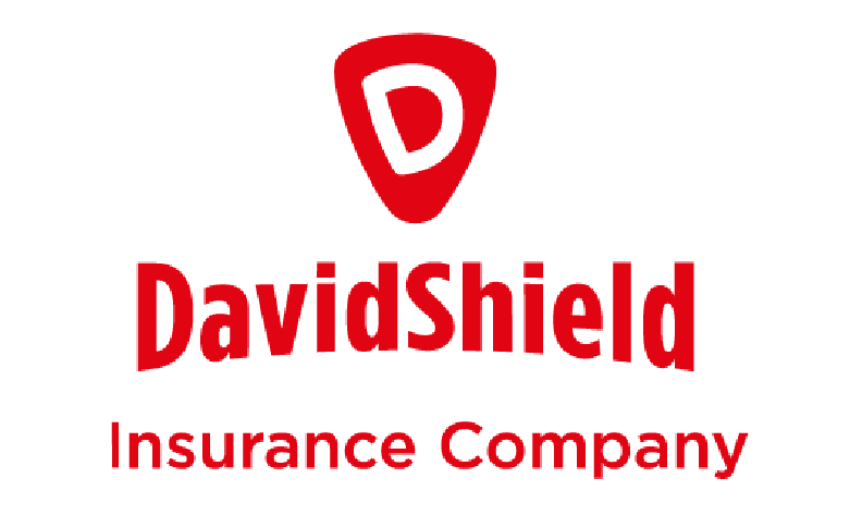 Logo DavidShield