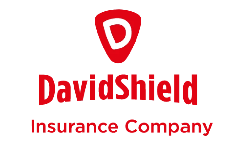 Logo DavidShield