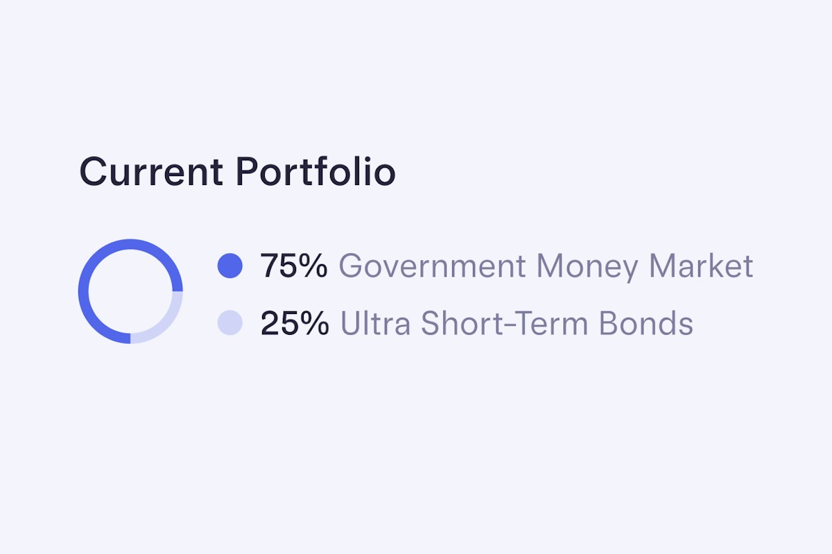 Representative Treasury portfolio