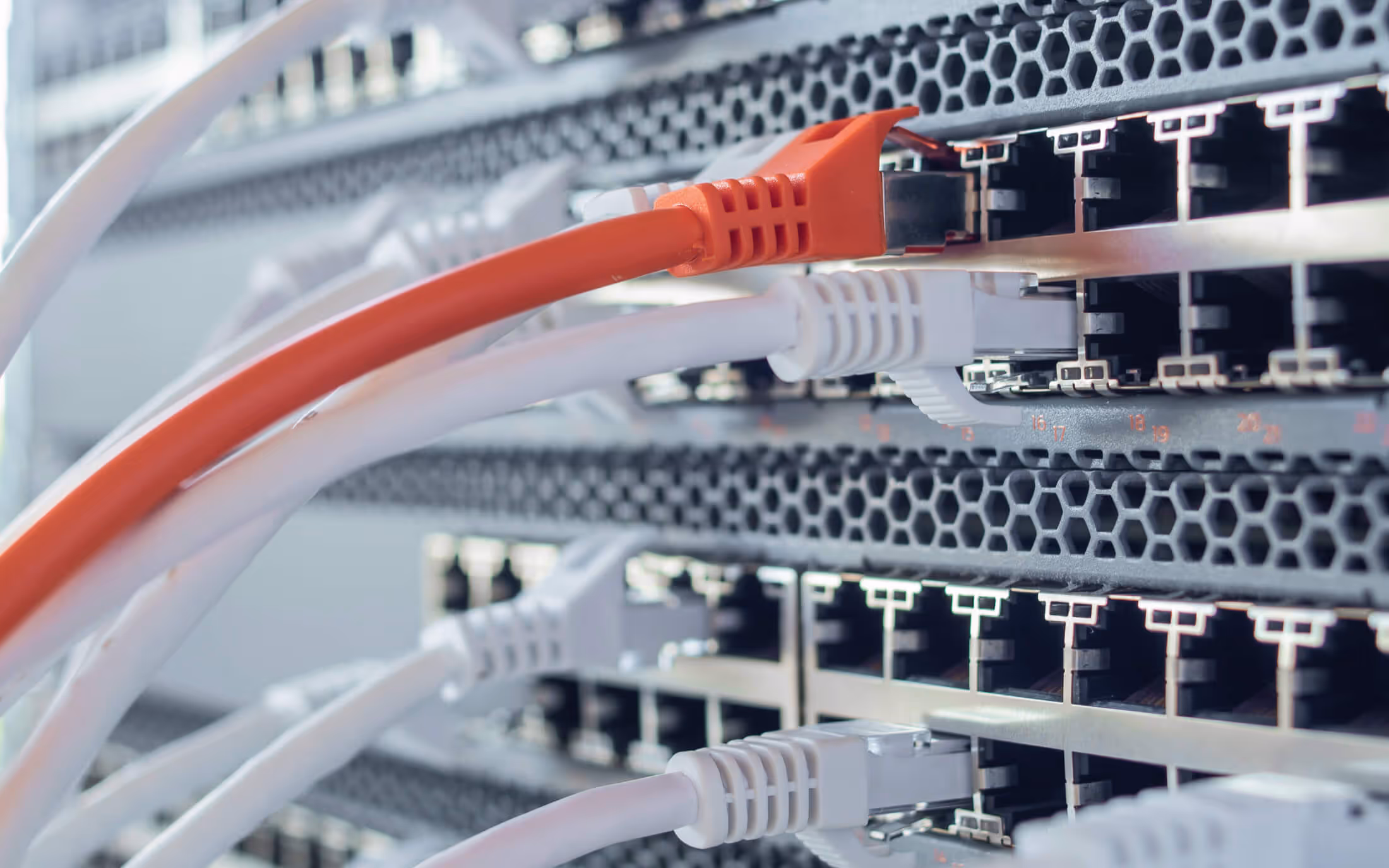 Rack per server con cavo rosso