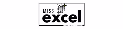 miss excel logo