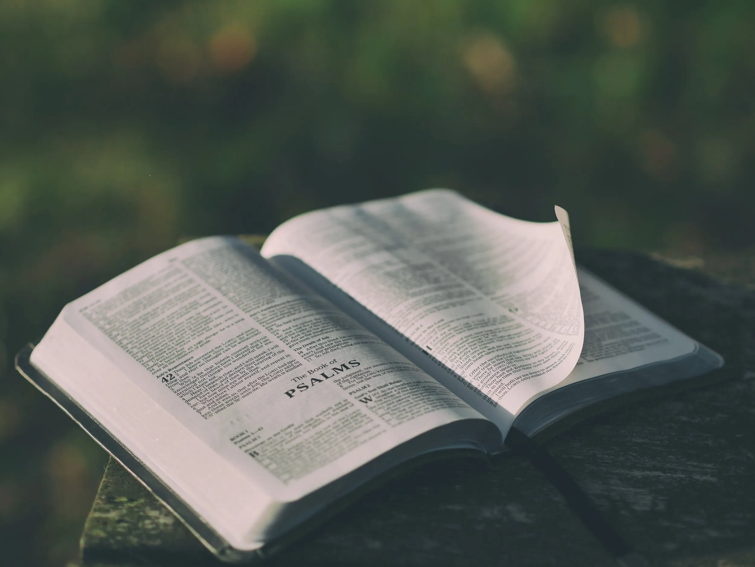Augustine and the “Total Christ” in the Psalms