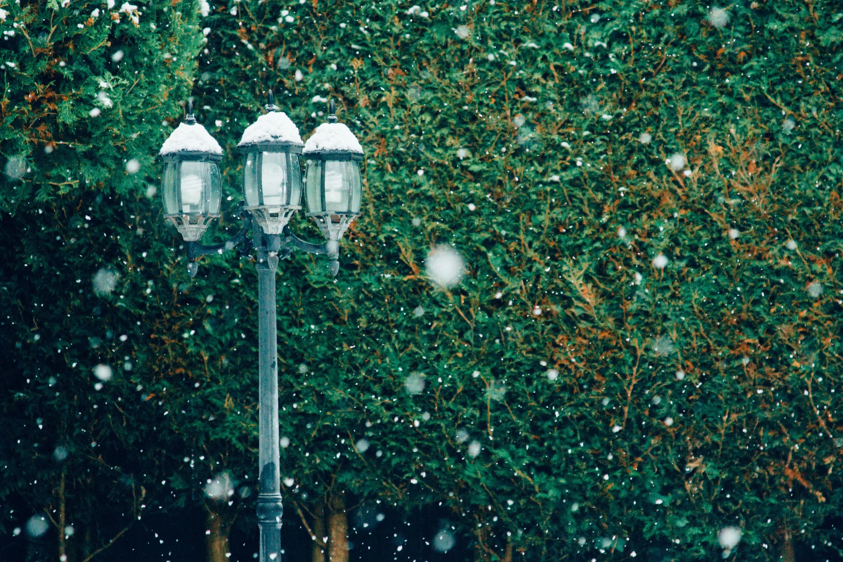 The “True Magic” of Christmas Eve.