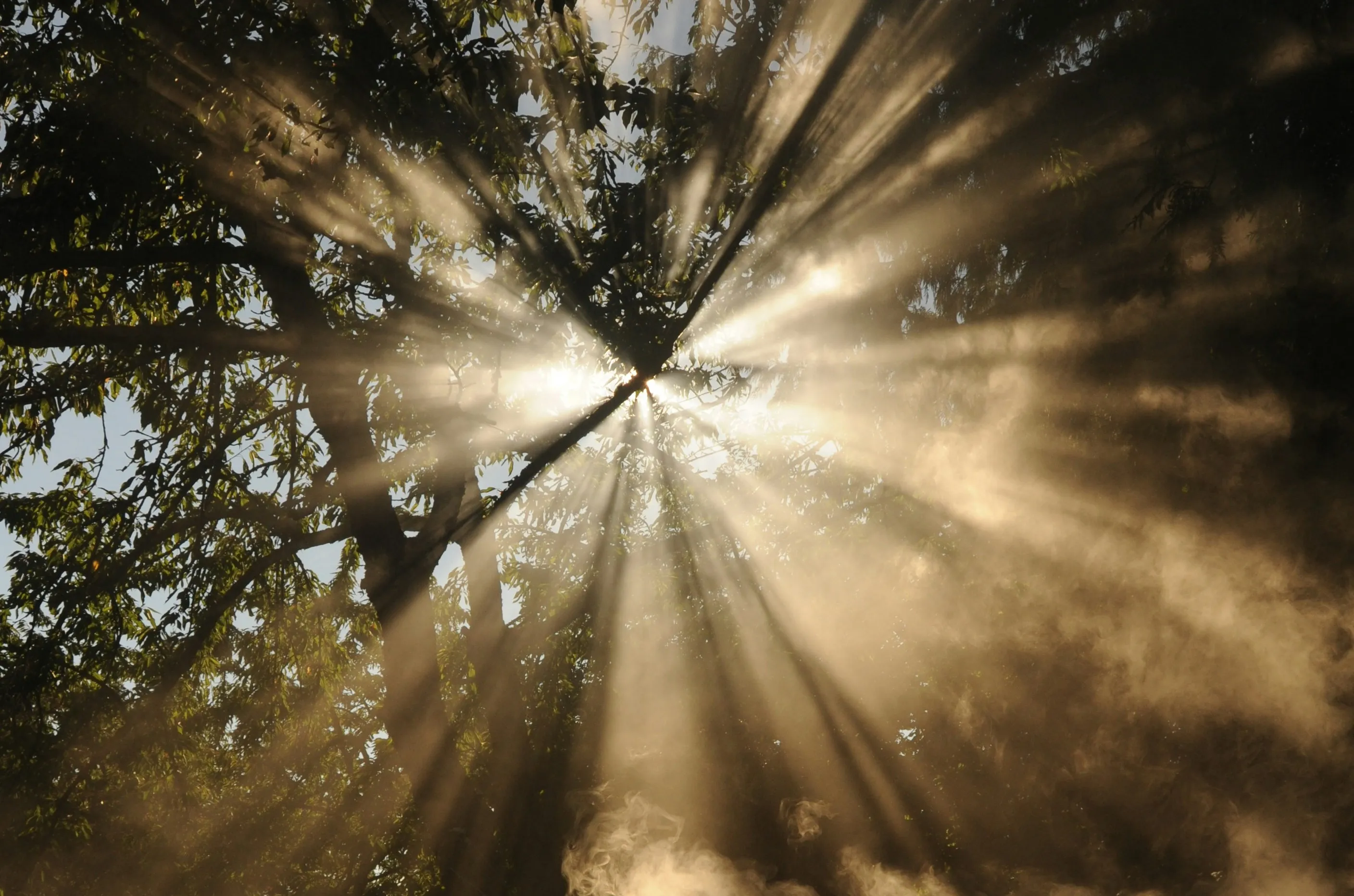 Light's Triumph