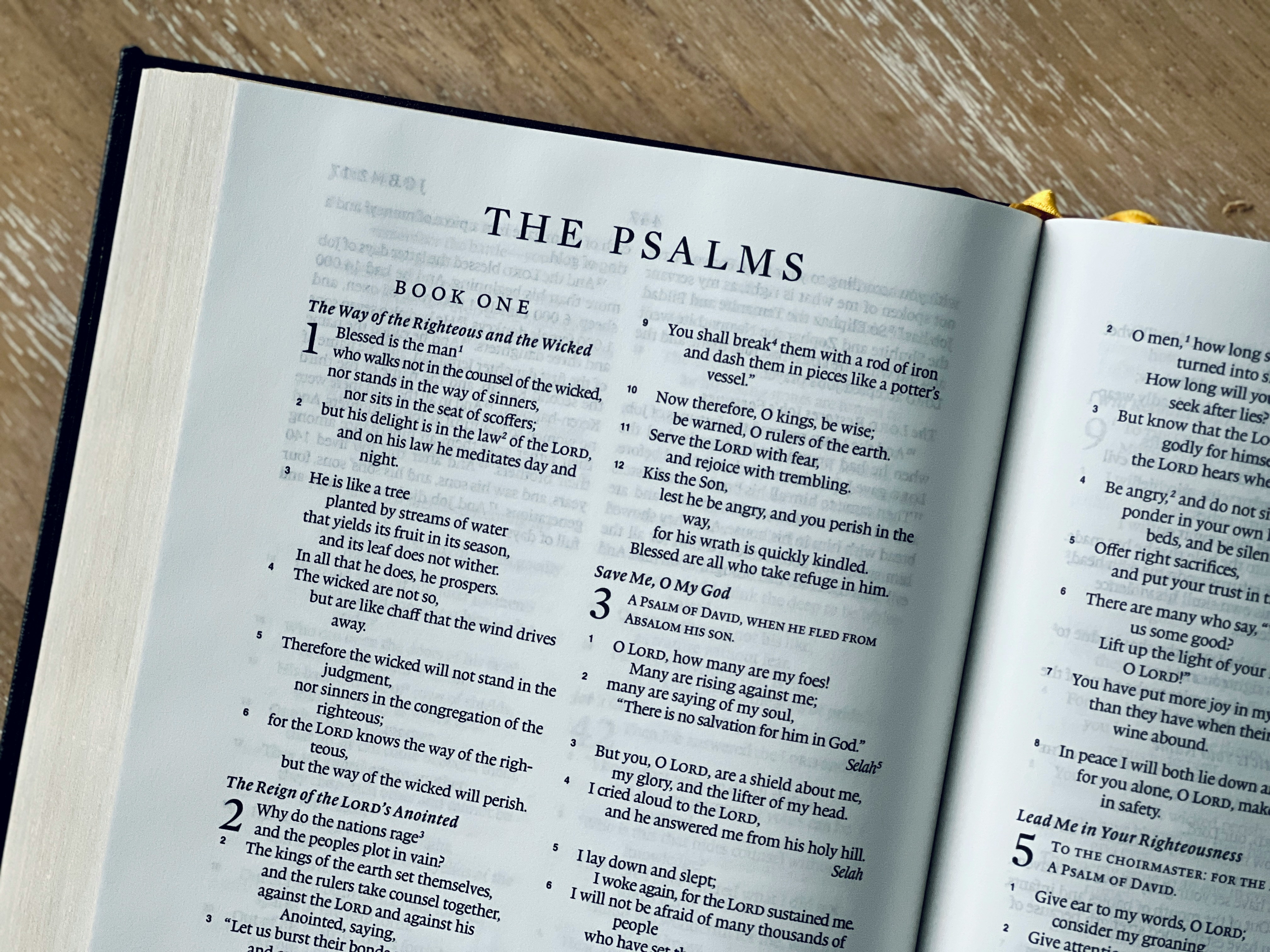 Working Through the Psalms Together