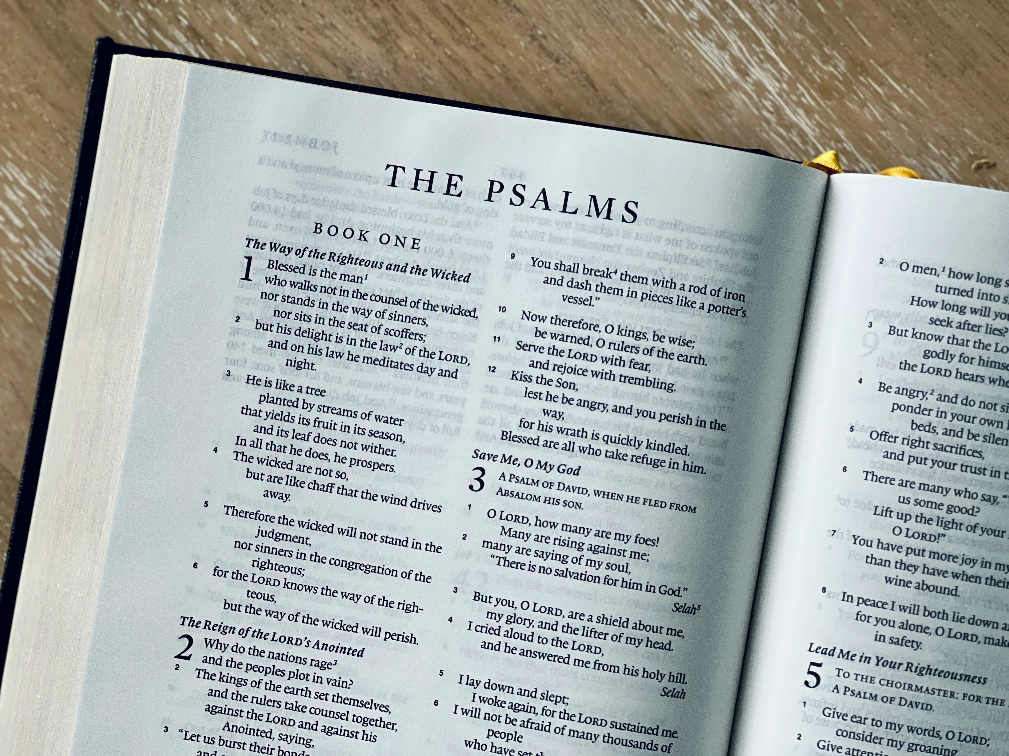 Working Through the Psalms Together