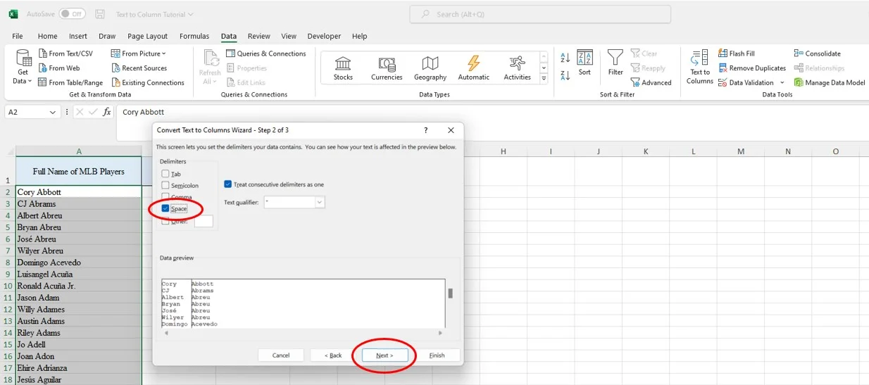 excel-text-to-columns-step-3