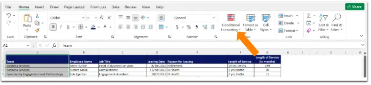 Conditional Formatting 