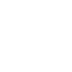 Storyblok Logo
