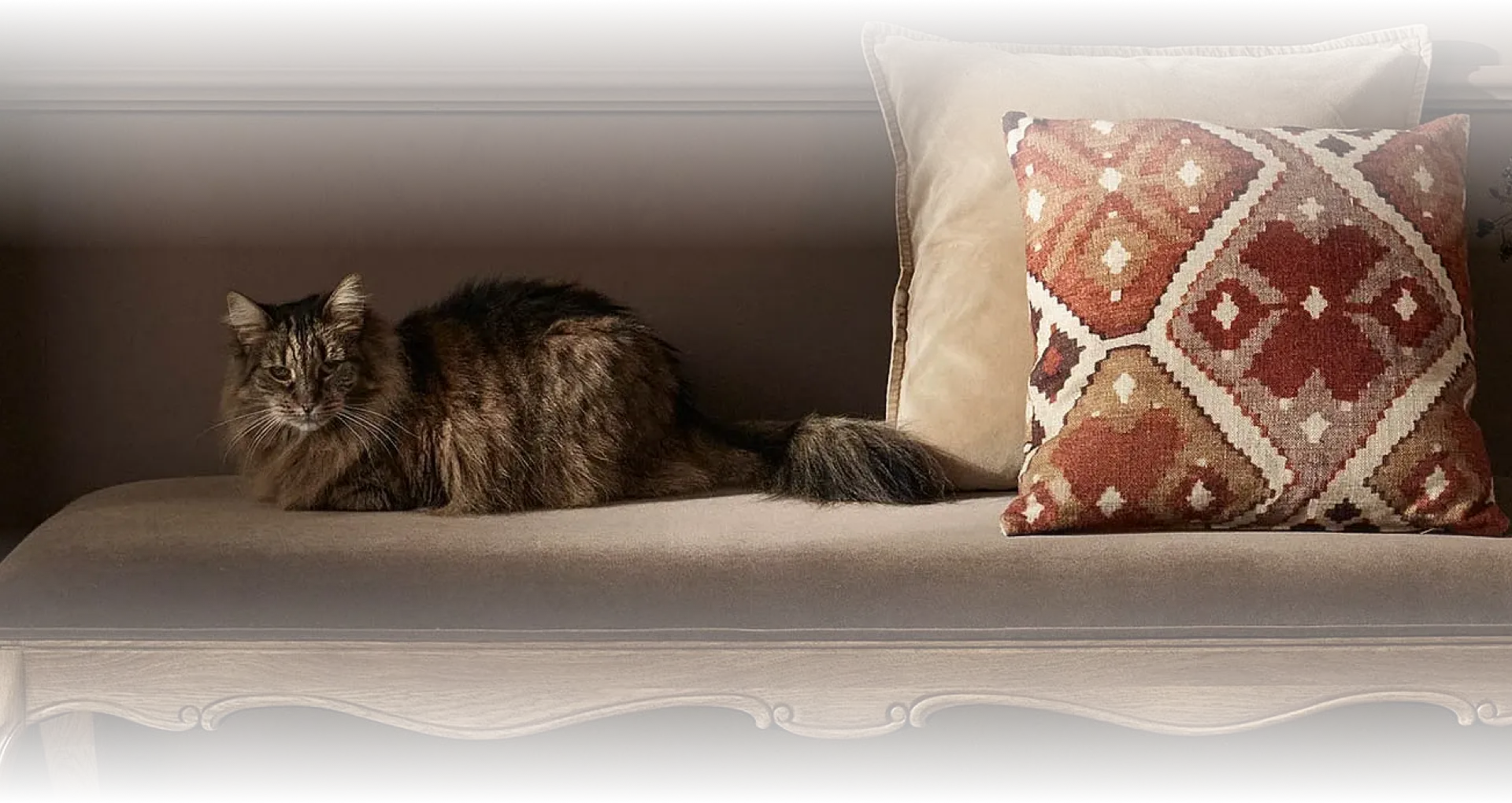 Cat on Sofa Banner