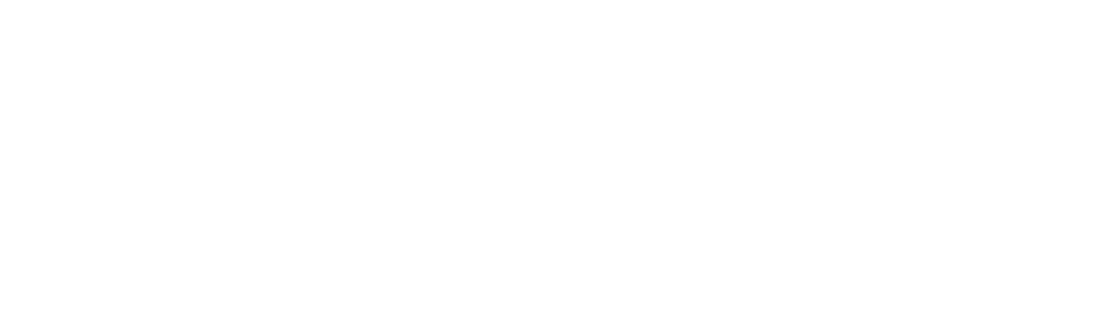 POSSE Title logo
