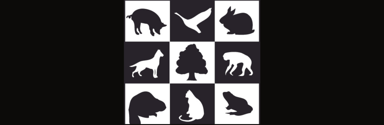 Animal Alliance of Canada