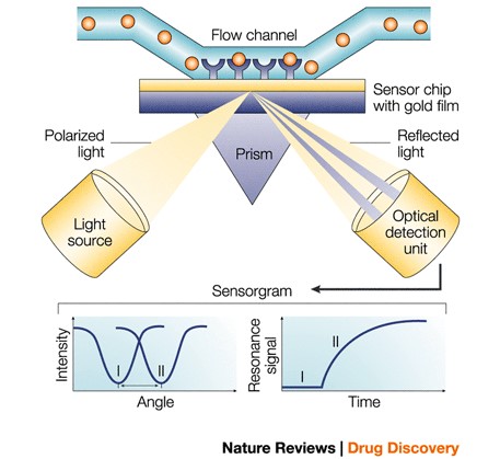 An optical biosensor used for drug discovery